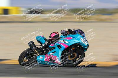 media/Jan-13-2024-SoCal Trackdays (Sat) [[9c032fe5aa]]/Turn 16 Set 2 (1120am)/